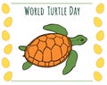 World turtle day greeting card - eggs frame