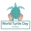 World Turtle Day concept Royalty Free Stock Photo