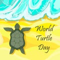 World Turtle Day 23rd of May - turtle creeps along the sand to