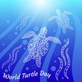 World Turtle Day. Water turtles swim up