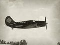 World War II navy fighter Royalty Free Stock Photo