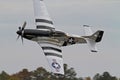 World War II P-51 Mustang Fighter Aircraft