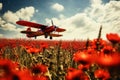 A World War II plane in the distance flying low over a field of red poppies