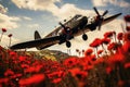 A World War II plane in the distance flying low over a field of red poppies
