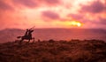 World war officer (or warrior) rider on horse with a sword ready to fight and soldiers on a dark foggy toned background. Battle sc Royalty Free Stock Photo