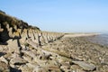 World War 2 Tanks Trap Invasion Defences Isle of Grain Rochester Kent England UK