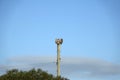 World war two air-raid siren Royalty Free Stock Photo