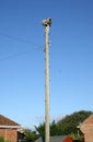 World war two air-raid siren Royalty Free Stock Photo