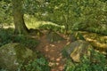 World war two tank traps, beside the River Wey, Surrey. Royalty Free Stock Photo