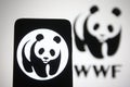 World Wide Fund for Nature WWF logo Royalty Free Stock Photo