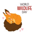 World Wildlife Day with cute cartoon squirrel baby sleeping