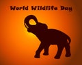World wildlife day text with elefant silhouette on sunset background . Vector illustration for poster, banner, card