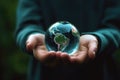The world is in your hands, concept of success or ecological concept Royalty Free Stock Photo