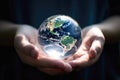 The world is in your hands, concept of success or ecological concept Royalty Free Stock Photo
