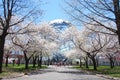 The Worlds Fair Grounds in NYC