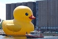 Worlds Largest Rubber Duck