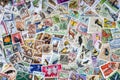 Worldwide Postage Stamps of Wildlife - Philately Royalty Free Stock Photo