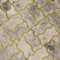 Worm brick being colorize with yellow pollen - Samut Sakhon, Thailand