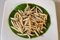 Worm called bamboo caterpillar is popular weird food or jungle food in Thailand.