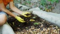 Worm castings or vermicompost is the end-product of the breakdown of organic food waster by earthworms. Worm Far