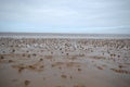 Worm casts on Bridlington beach