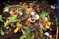 a worm compost bin filled with scraps and worms