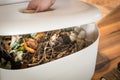 Worm farm, composter. Eco-friendly home disposal of biodegradable waste and processing it into natural fertilizer