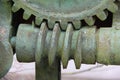 Worm-gear Royalty Free Stock Photo