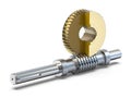 Worm gear in section isolated on white background Royalty Free Stock Photo