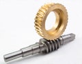 The worm-gear wheel Royalty Free Stock Photo