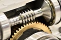 Worm gear or worm drive tramsission Royalty Free Stock Photo