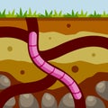 Worm in the ground. Burrows and passages. Nature and the insect