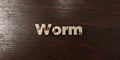 Worm - grungy wooden headline on Maple - 3D rendered royalty free stock image