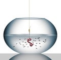 This worm on a hook in a fishbowl is a metaphor for a business that is not accesible Royalty Free Stock Photo