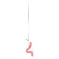 Worm on a hook, fishing bait Royalty Free Stock Photo