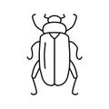 worm insect line icon vector illustration