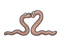 Worm love couple hug sketch vector illustration