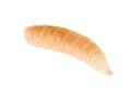 Worm of maggots on a white background Royalty Free Stock Photo