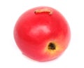 Worm on red apple Royalty Free Stock Photo