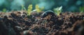 The Worm\'s Role in Compost: Creating Nutrient-Rich Humus. Concept Composting, Worms, Soil Health, Royalty Free Stock Photo