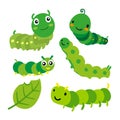 Worm vector collection design