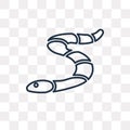 Worm vector icon on transparent background, linear Worm