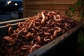 worms crawling on the edge of a composting container Royalty Free Stock Photo