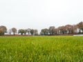 Worms eye view of Rural soccer pitch in Germany