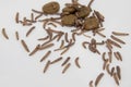 Worms found in dry dog food Kibble Royalty Free Stock Photo