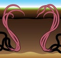 Worms frame