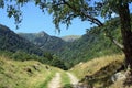 Wormsa valley in Alsace Royalty Free Stock Photo