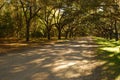 Wormsloe Plantation entrance Royalty Free Stock Photo