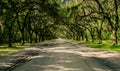 Wormsloe Plantation Royalty Free Stock Photo