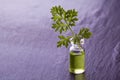 Wormwood herb essence Royalty Free Stock Photo